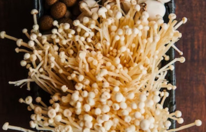 Plastic Eating Fungi