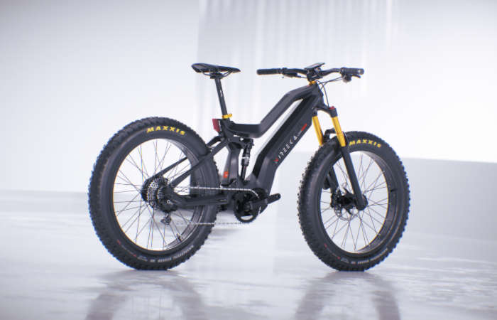 Nireeka Mega eBike