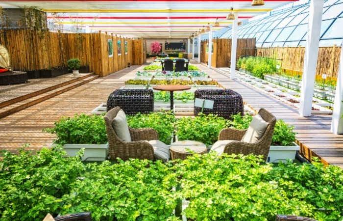 City becomes food wise self-sufficient