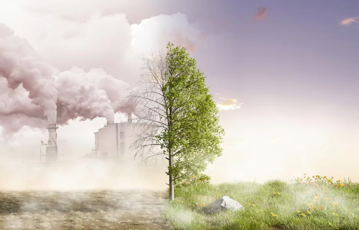 How We Can Beat Climate Change: Three Wide-Scale Efforts