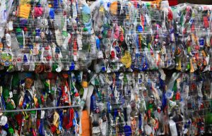 Eco-Myths Exposed: How Recycling Went from Hero to Zero!