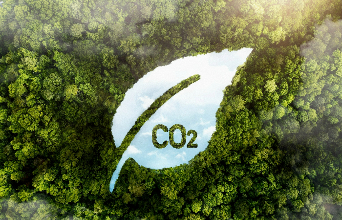 Michelle You, Supercritical, net-zero emissions targets, carbon dioxide output, carbon markets, offset quality, measuring carbon emissions, sustainability, comprehensive solutions, accurate measurement, greener future.