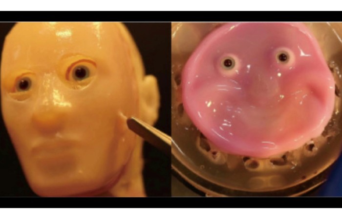 A smiling robot face