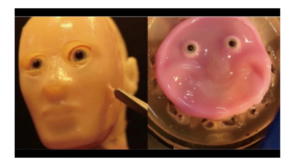 A smiling robot face