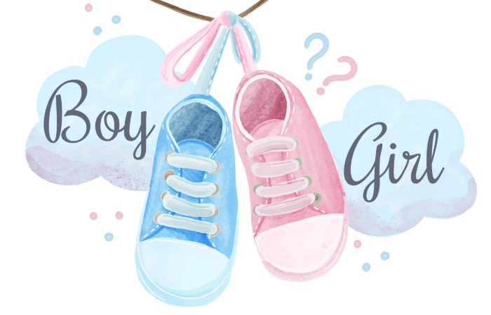 An image showcasing a range of gender reveal party setups, from colorful balloons and themed decorations to a cake with a question mark, waiting to unveil the surprise of a baby's gender.