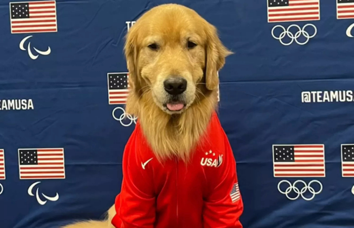 Image of "Beacon," a four-legged dog therapy dog for Team USA.