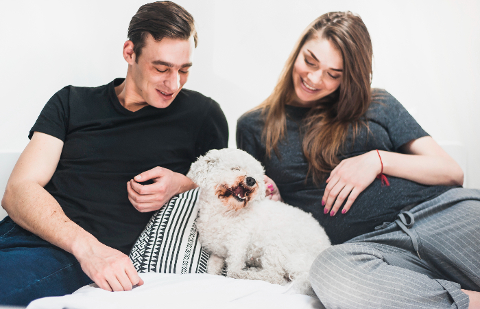Couple prefer pets over children