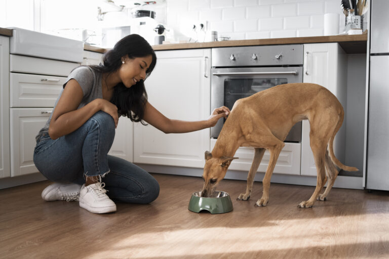 pet food